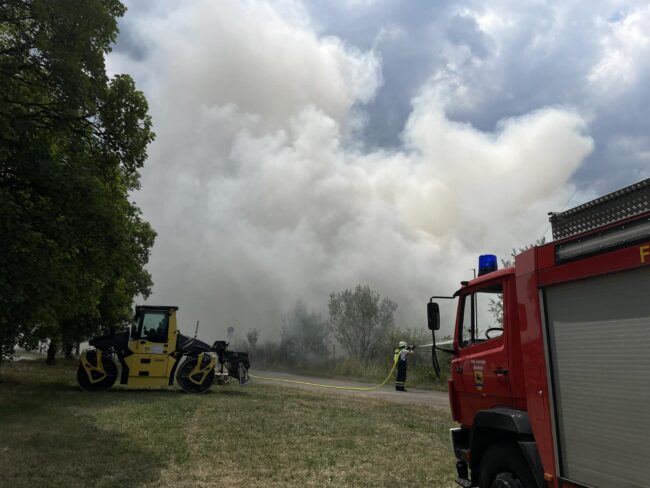 347256958_635605585264704_6369635298547848436_n