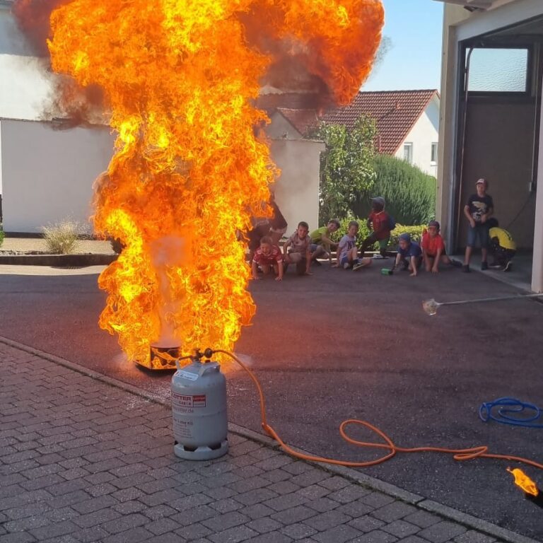 WhatsApp Bild 2023-09-08 um 16.13.39