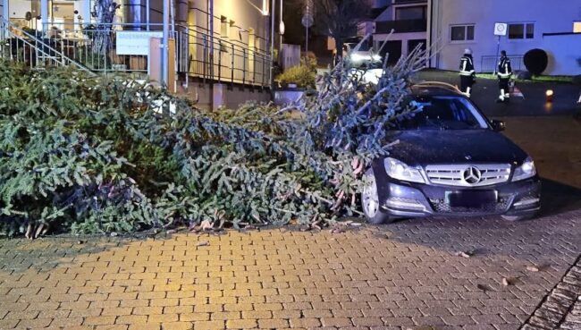 FB_IMG_1736241524607